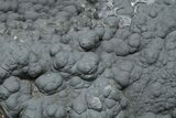 Huge, Botryoidal Goethite Formation - Taouz, Morocco #233086-3